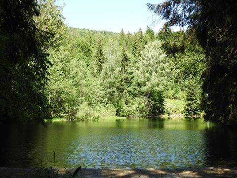 Foto 36